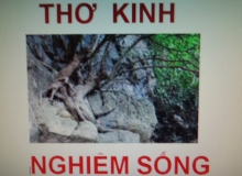 THƠ KINH NGHIỆM SỐNG:LIỆU CƠM GẮP MẮM