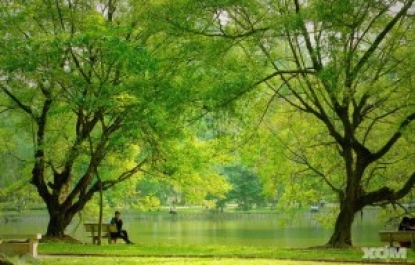 GHẾ ĐÁ CÔNG VIÊN