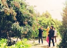 BAO GIỜ EM ĐẾN MIỆT VƯỜN