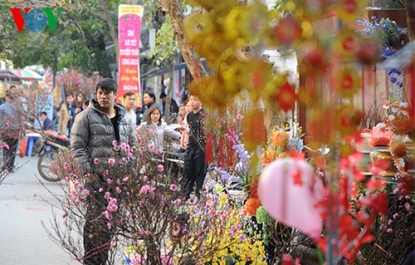 PHỐ CỔ CHỢ HOA