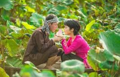  NÚM HỒNG ĐÃ SẪM