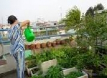 SÂN THƯỢNG BÀI THƠ 