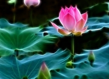 CHÙM THƠ HOA SEN:CỬU THI SEN