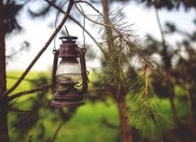 CÂY ĐÈN VỌNG PHU