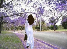 CHÙM THƠ:MÙA XUÂN