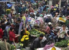 PHỐ THỊ CHỢ TẾT