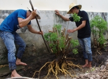 MÌNH ƠI ! TÌM HIỂU