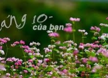 MỘT SÁNG THÁNG 10