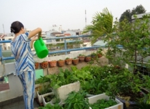  SÂN THƯỢNG NHÀ NÀNG