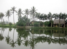 CHÙM THƠ : MỘT THOÁNG 