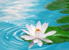 VĨ ĐẠI THAY CÁI BÌNH THƯỜNG